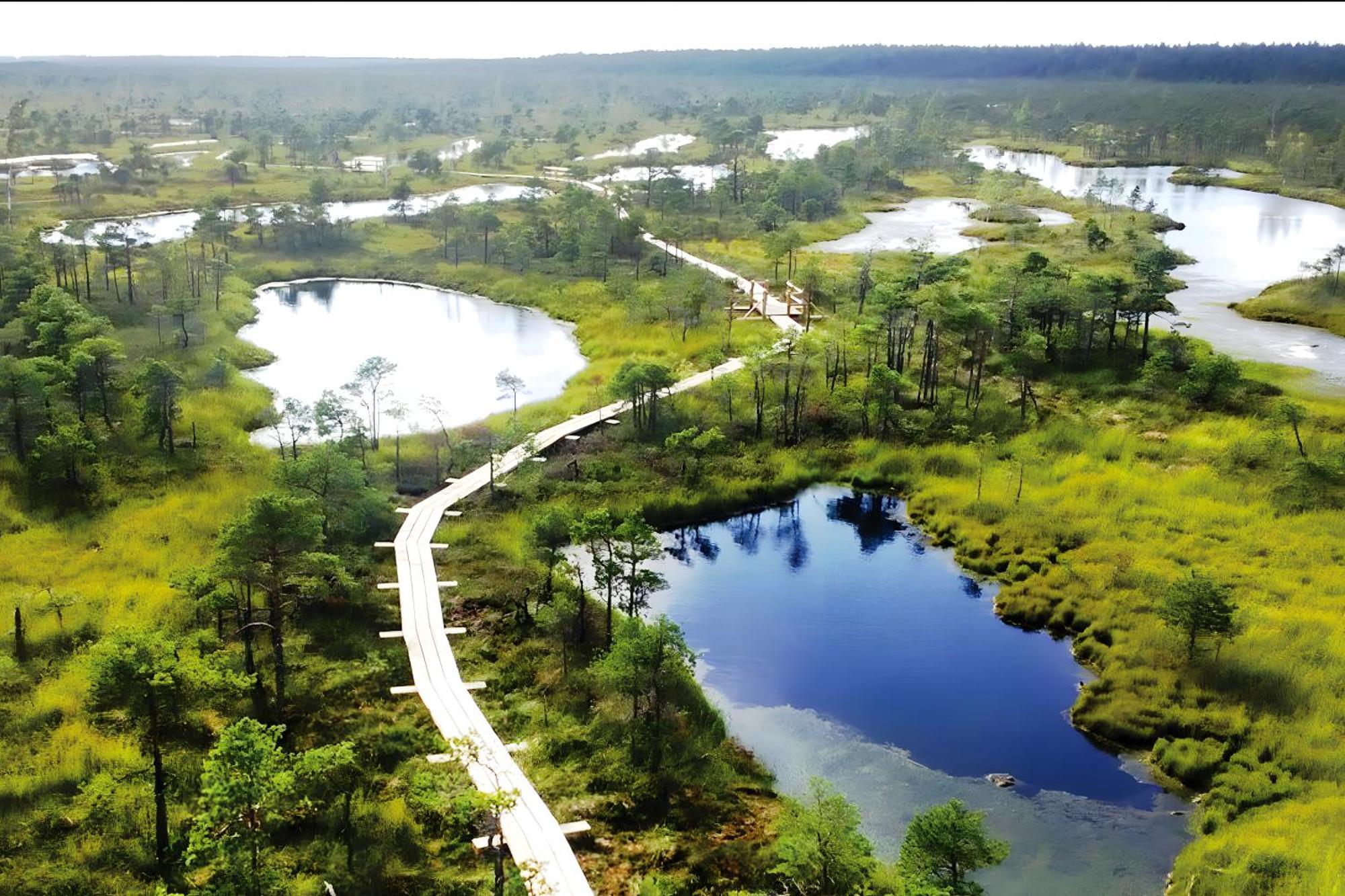 شقة 500 M From The Sea Jūrkalne المظهر الخارجي الصورة